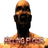 Gazduire Server Killing Floor - 6 sloturi