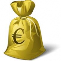 Bon valoric de 1 euro, pentru plata serviciilor din oferta HostGame.ro