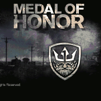 Game Hosting Medal Of Honor Allied Assault - 32 slots with Database